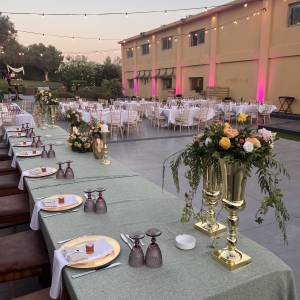 media\acfgallery\content\2\1\image00019_original